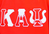 Kappa Alpha Psi Color Block Greek Lettered Hoodie